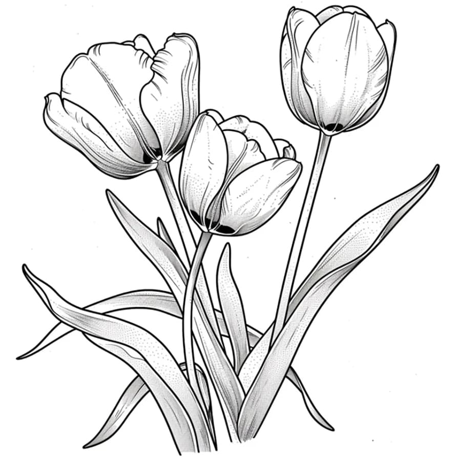 Tô màu Ba Bông Hoa Tulip