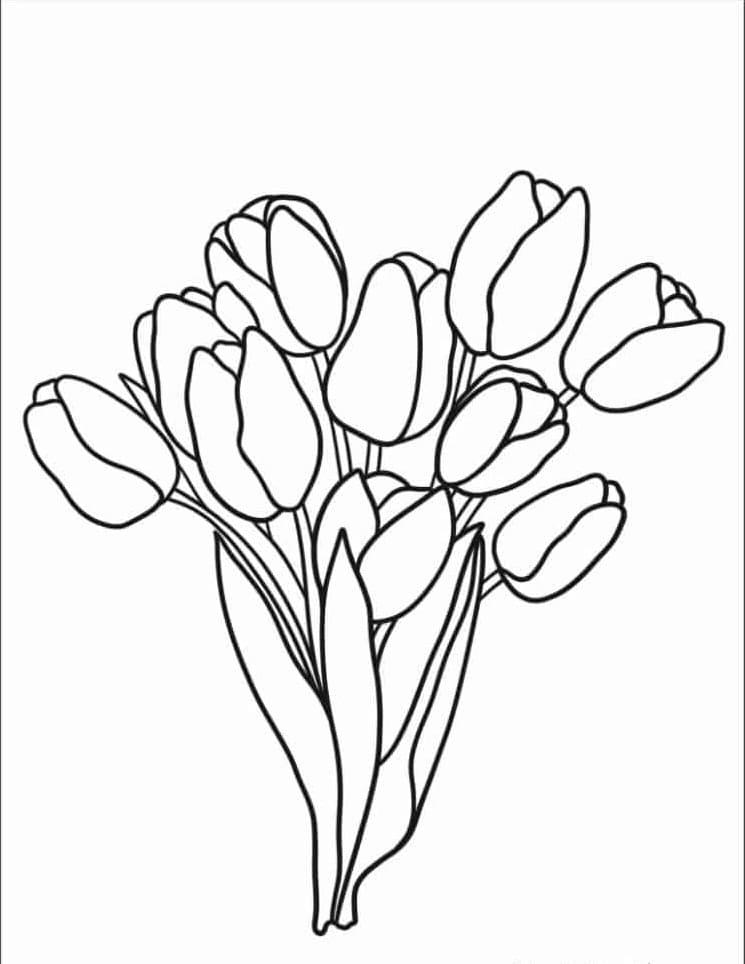 Tô màu Bó Hoa Tulip Nhỏ
