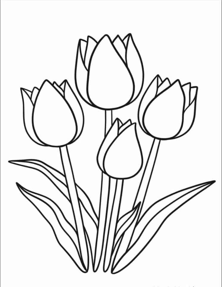Tô màu Bốn Bông Hoa Tulip