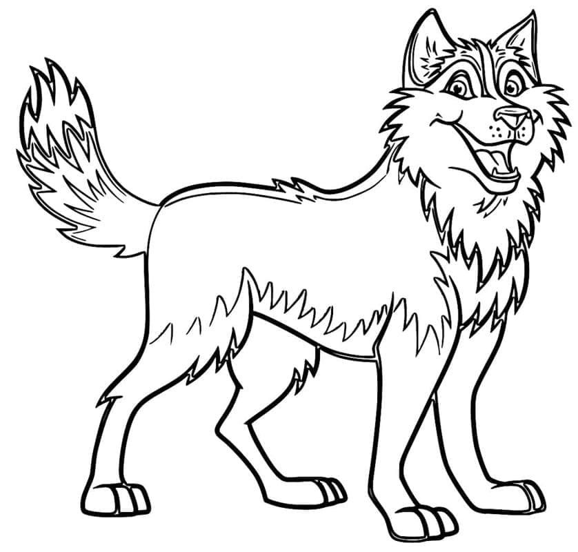 Tô màu Chó Husky Hoạt Hình