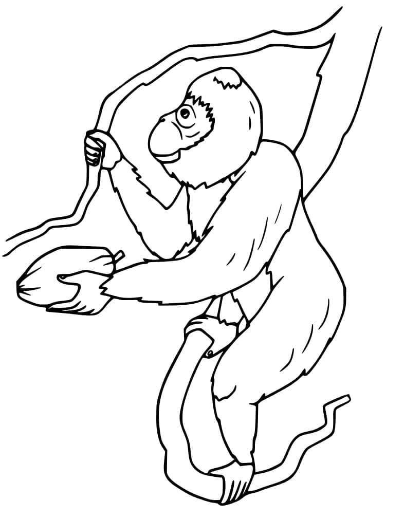Tô màu Con Đười Ươi Trên Cành Cây