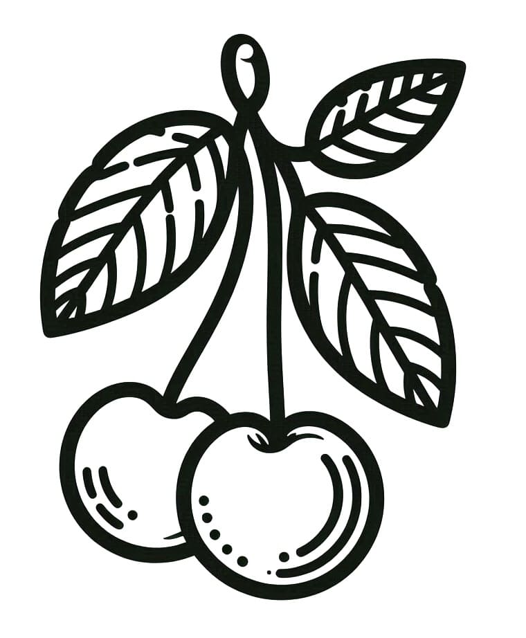 Tô màu Hai Trái Cherry