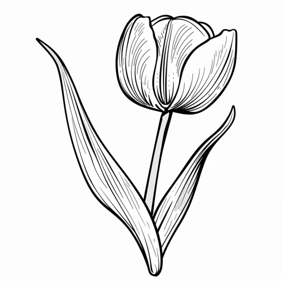 Tô màu Hoa Tulip Lớn