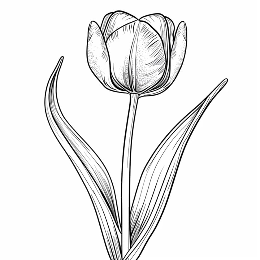 Tô màu Một Bông Hoa Tulip