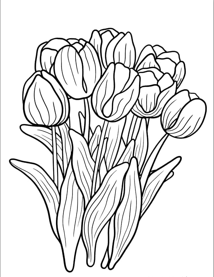 Tô màu Nhiều Hoa Tulip