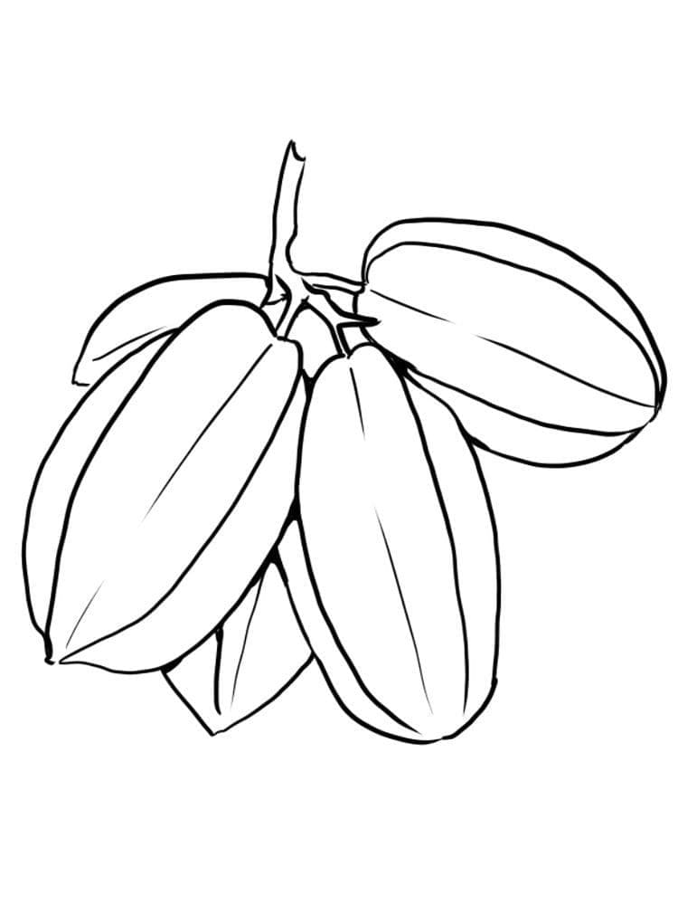 Tô màu Chùm Quả Khế