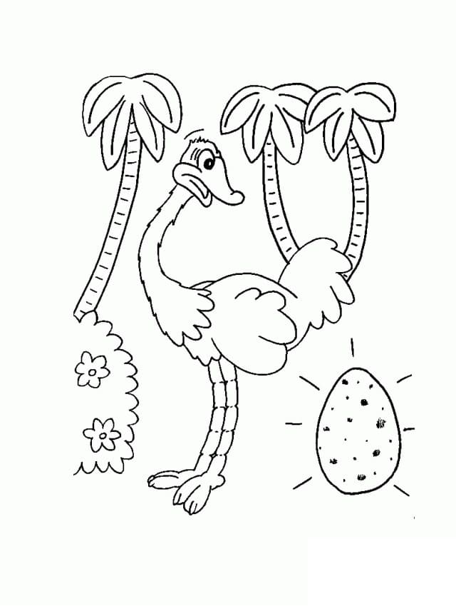 Tô màu Con Đà Điểu và Quả Trứng