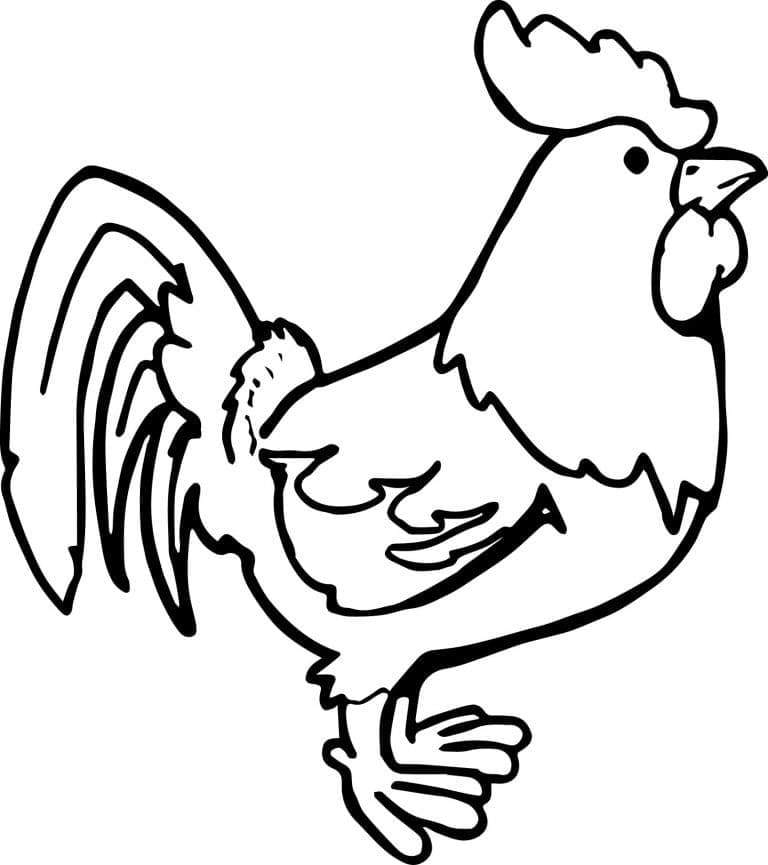 Tô màu Con Gà Đẹp