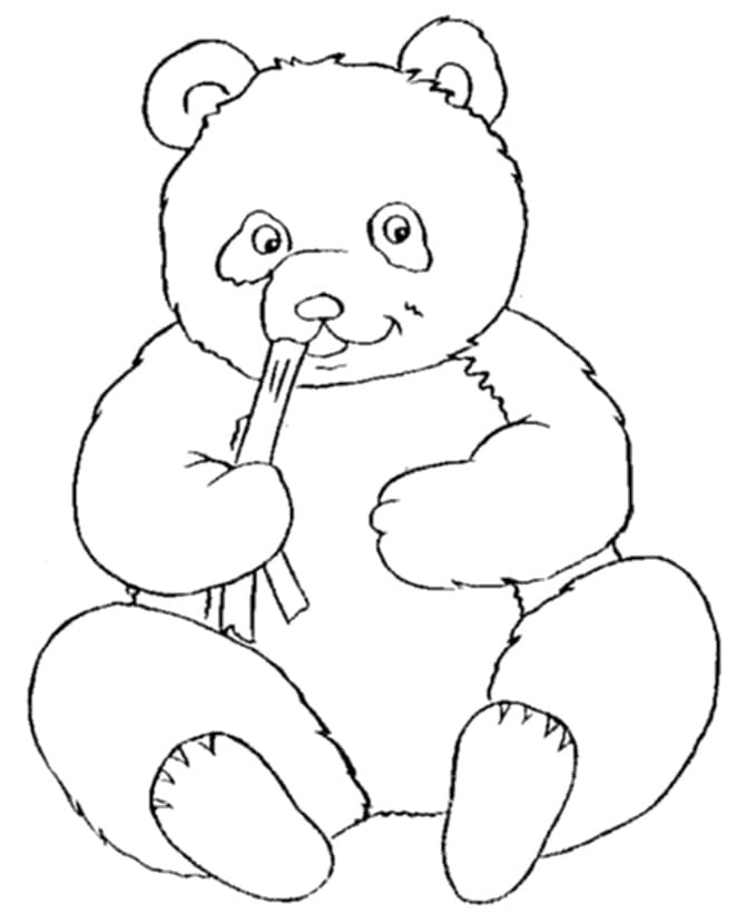 Tô màu Con Gấu Trúc Đang Ăn
