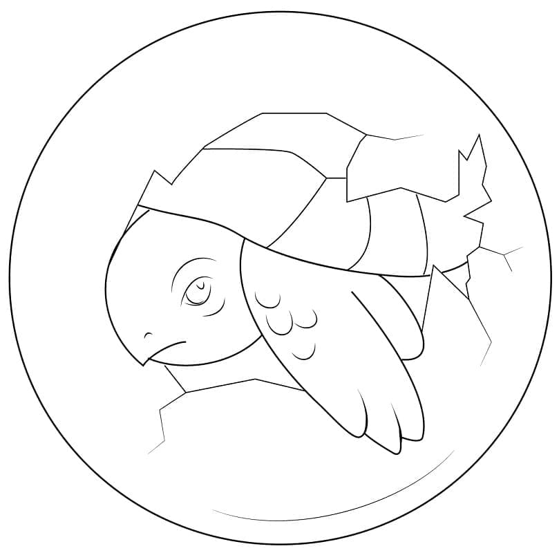Tô màu Con Rùa Trong Quả Trứng