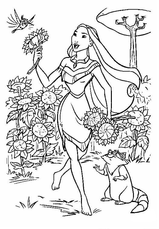 Tô màu Công Chúa Pocahontas Hái Hoa