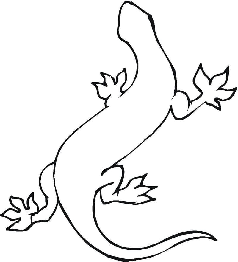Tô màu Hình Vẽ Con Tắc Kè