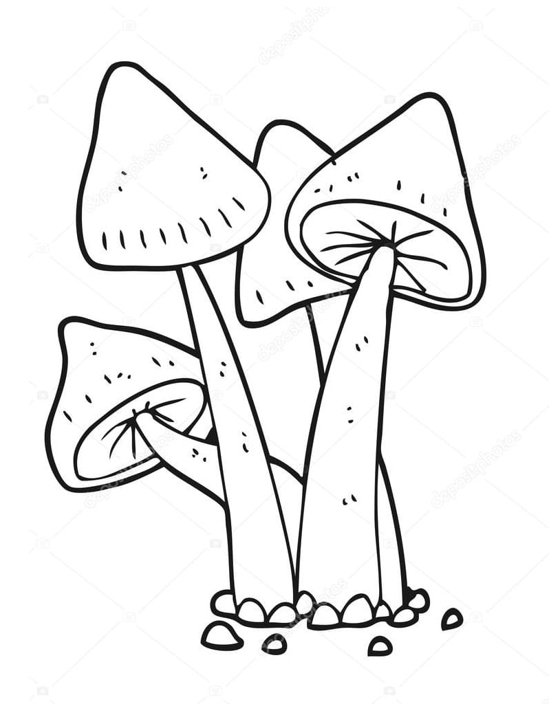 Tô màu Những Cây Nấm