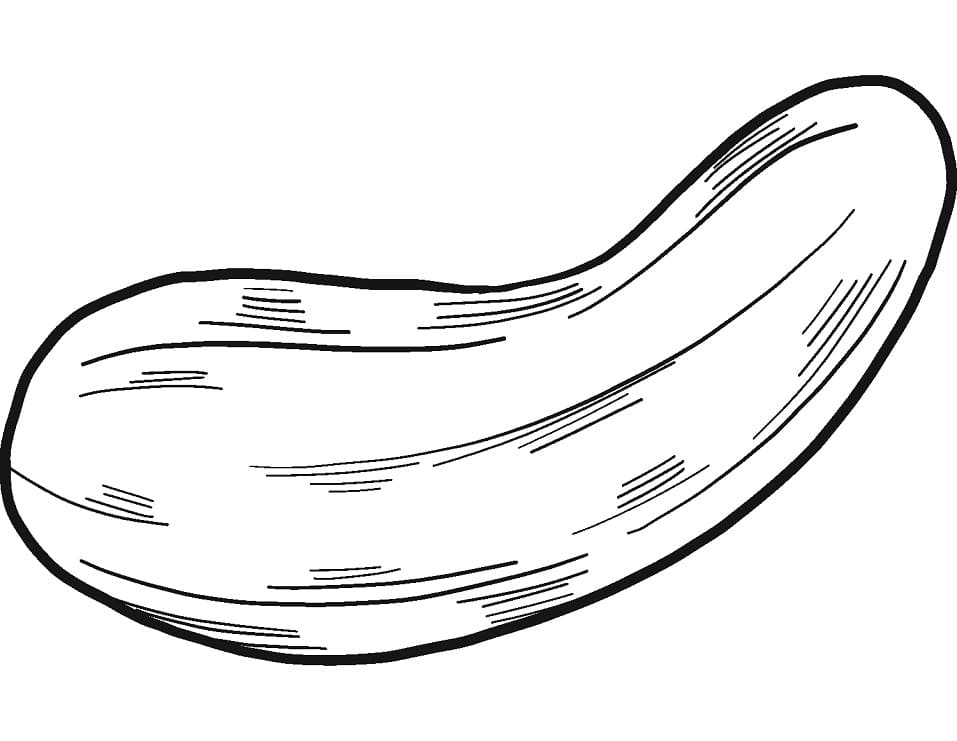 Tô màu Quả Dưa Chuột 4