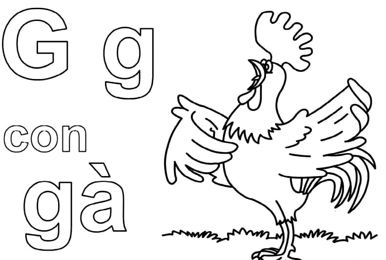 Tô màu Chữ G Con Gà