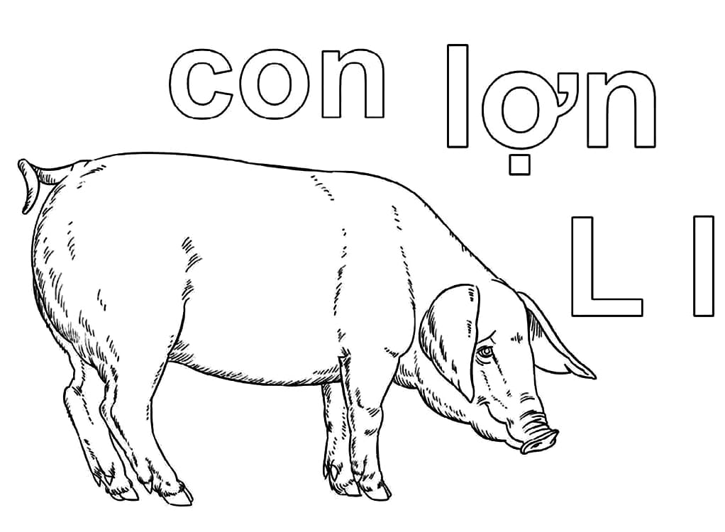 Tô màu Chữ L Con Lợn