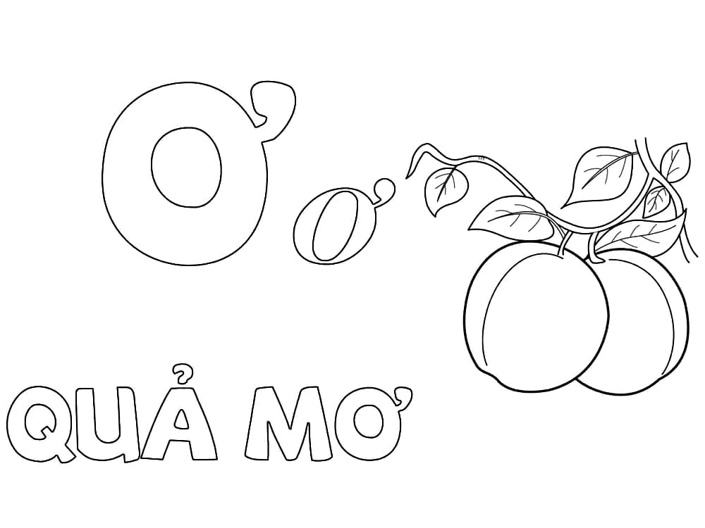 Tô màu Chữ Ơ Quả Mơ