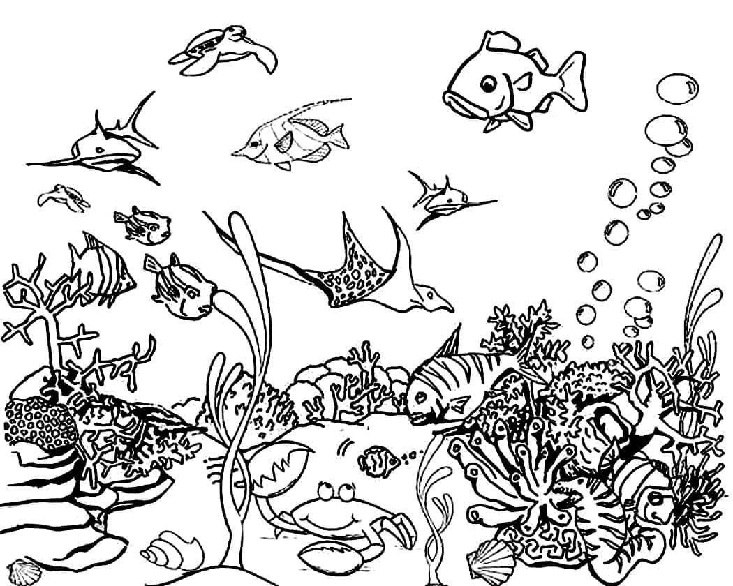 Tô màu Đại Dương Tuyệt Đẹp