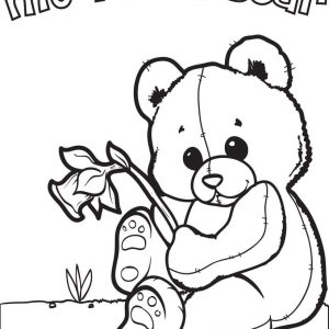 Gấu Teddy (Teddy Bear)