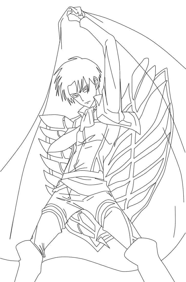 Tô màu Levi Ackerman