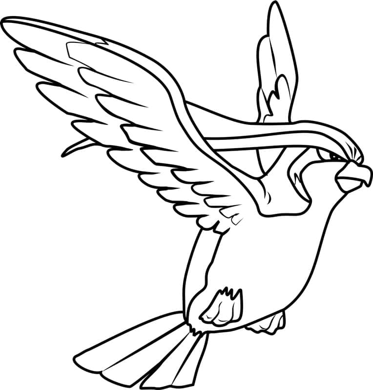 Tô màu Pokemon Pidgeot