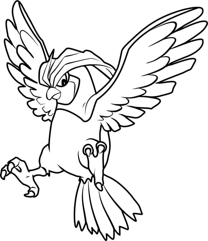 Tô màu Pokemon Pidgeotto