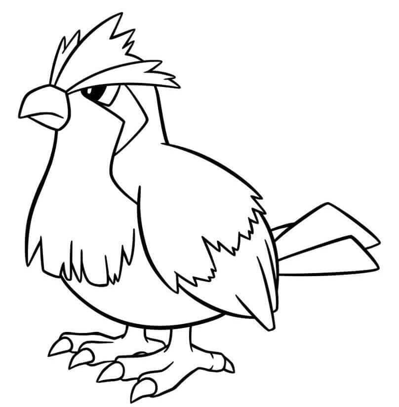 Tô màu Pokemon Pidgey