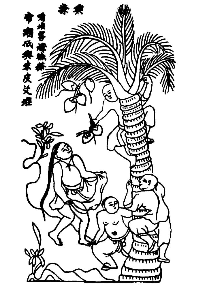 Tô màu Tranh Đông Hồ Hứng Dừa